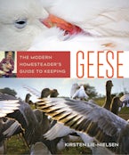 The Modern Homesteaders Guide to Keeping Geese