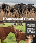 Homestead Cows