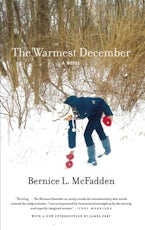 The Warmest December