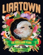 LiarTown