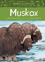 Animals Illustrated: Muskox