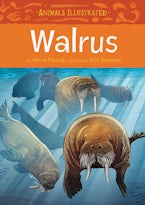Animals Illustrated: Walrus
