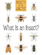 Insects of the Arctic: What Is an Insect?