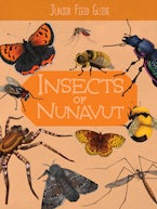 Junior Field Guide: Insects of Nunavut