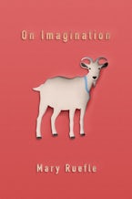 On Imagination