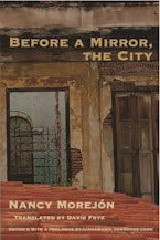 Before A Mirror, The City
