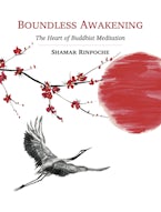 Boundless Awakening