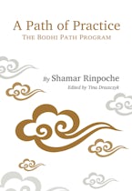 A Path of Practice
